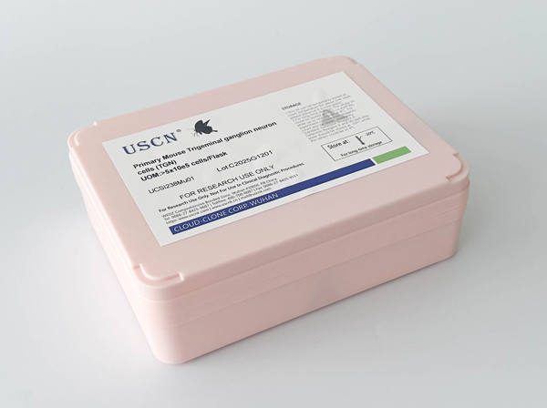 大鼠神經小膠質細胞(MC)原代細胞